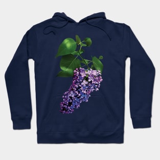 Lilacs - Graceful Purple Lilacs Hoodie